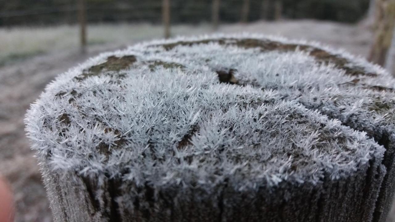Chale Bienz - Hospedagem Rural Urubici Zewnętrze zdjęcie